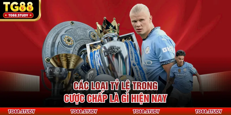 Các loại tỷ lệ trong cược chấp là gì hiện nay